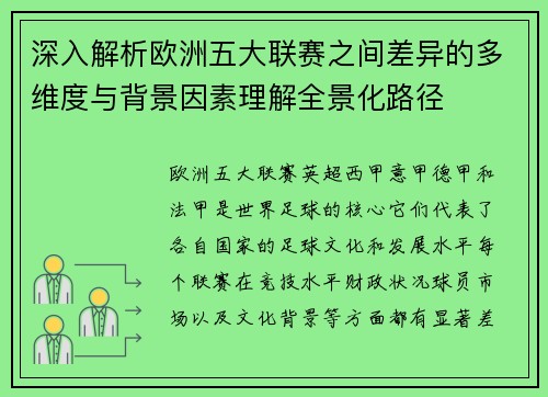 深入解析欧洲五大联赛之间差异的多维度与背景因素理解全景化路径